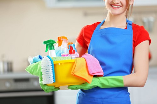 Domestic cleaner working in a Notting Hill townhouse living room
