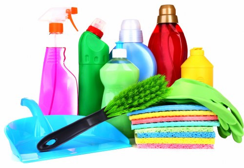 Professional carpet cleaning team preparing equipment