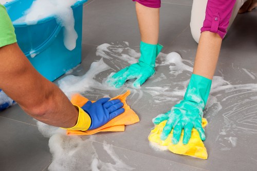 Detailed carpet care process for Notting Hill homes and businesses