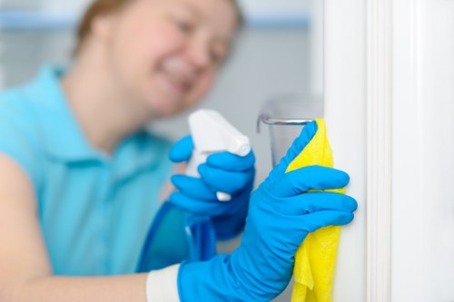Professional oven cleaning service for a Notting Hill kitchen