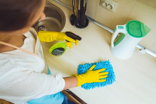 Deep cleaning an oven door and interior in a local London home