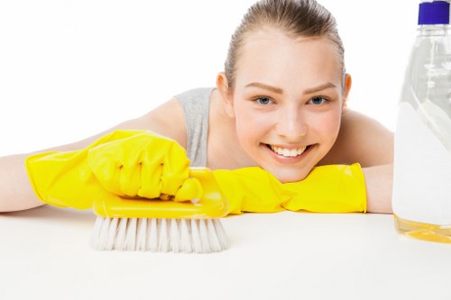 Professional pet stain and odour removal for a Notting Hill carpeted home