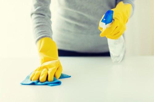 Professional patio cleaning for a Notting Hill courtyard garden
