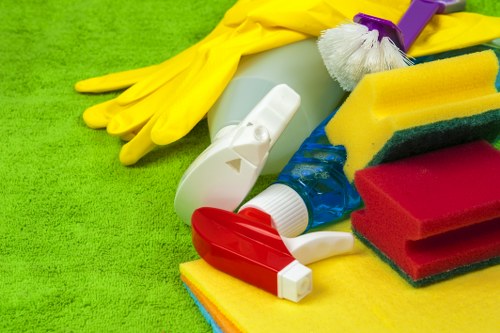 Deep cleaning treatment for pet urine smell in a Notting Hill property