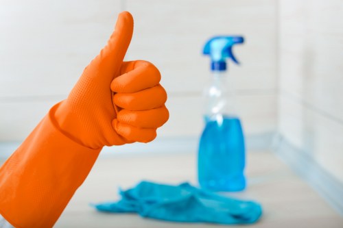 Professional cleaning of lift and lobby area