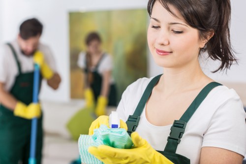 Local carpet cleaning service focused on fabric care and quality