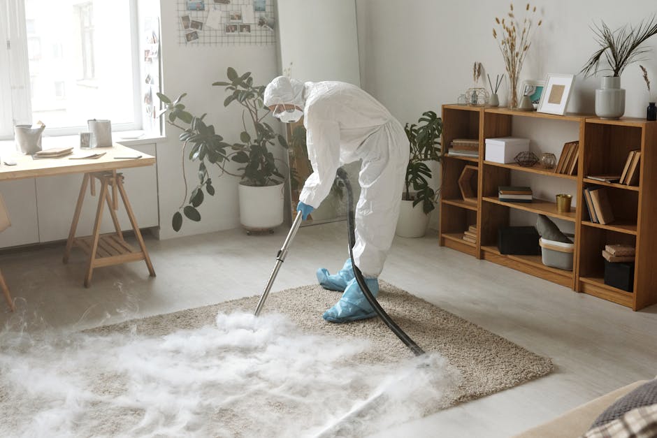 A professional cleaner dressed in white protective gear, including a hood, mask, and blue shoe covers, is performing surface cleaning on a beige carpet in a well-lit living room. The cleaner is using a portable steam or extraction machine with a black hose, applying deep cleaning to remove dirt and mold from the carpet. The room features a large window allowing natural light, wooden furniture including a bookshelf with decorative items and books, and several potted plants adding a touch of greenery. The surface cleaning process appears thorough, with visible steam or cleaning residue on the carpet, contributing to hygiene and freshness. Carpet Cleaning Notting Hill specializes in domestic cleaning and mould removal, ensuring thorough sanitisation of residential spaces.