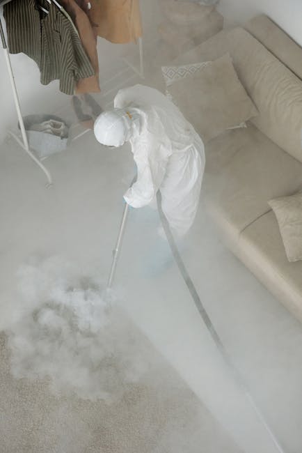 A professional cleaner dressed in white protective gear, including a hood, mask, and blue shoe covers, is performing surface cleaning on a beige carpet in a well-lit living room. The cleaner is using a portable steam or extraction machine with a black hose, applying deep cleaning to remove dirt and mold from the carpet. The room features a large window allowing natural light, wooden furniture including a bookshelf with decorative items and books, and several potted plants adding a touch of greenery. The surface cleaning process appears thorough, with visible steam or cleaning residue on the carpet, contributing to hygiene and freshness. Carpet Cleaning Notting Hill specializes in domestic cleaning and mould removal, ensuring thorough sanitisation of residential spaces.